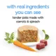Product Purina Beneful® Infused All Life Stage Dog Wet Food - 10.65 oz., No Artificial Colors