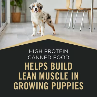 Product Purina Pro Plan Sport Puppy Wet Dog Food - High Protein, 13 Oz, 12 Count