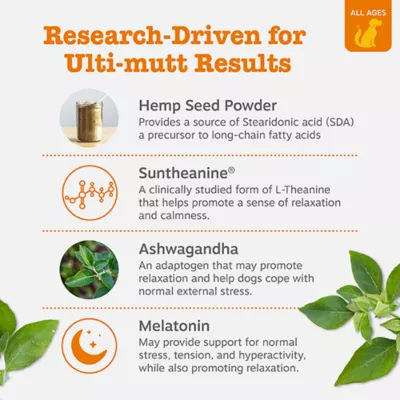 Product Zesty Paws Hemp Elements Calming Bites for Dogs - Turkey Flavor - 90 Ct