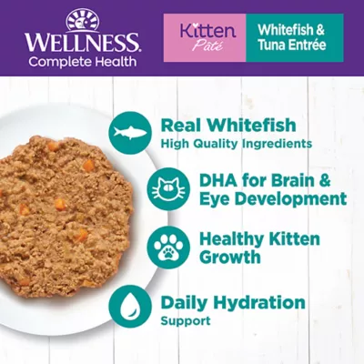 Product Wellness® Complete Health Kitten Wet Food - Grain Free, Pate, 5.5 Oz