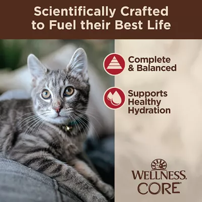Product Wellness® CORE® Tiny Tasters Adult Cat Wet Food - Grain Free, Minced, 1.75 Oz