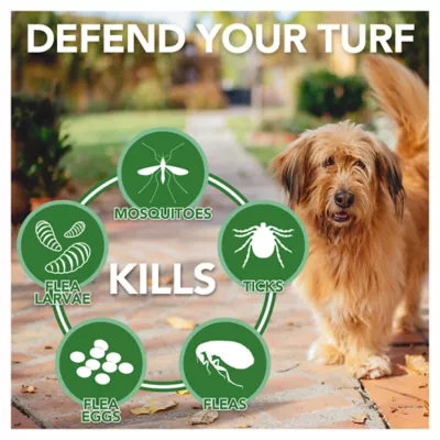 Product Vet's Best® Flea and Tick Easy Spray