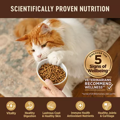Product Wellness® CORE® Kitten Dry Cat Food - Natural, Grain Free, Turkey & Chicken