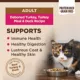 Product Wellness® CORE Adult Cat Food - Grain Free, Natural, Turkey & Duck