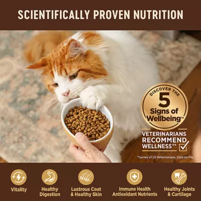 Product Wellness® CORE Adult Cat Food - Grain Free, Natural, Turkey & Duck