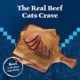 Product Blue Buffalo Wilderness All Life Stages Dry Cat Food - Grain Free, Beef