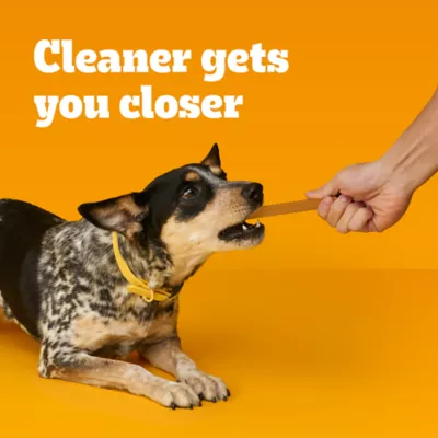 Product Pedigree® Dentastix Small/Medium Adult Dental Dog Treats - Chicken