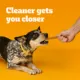 Product Pedigree® Dentastix Small/Medium Adult Dental Dog Treats - Chicken