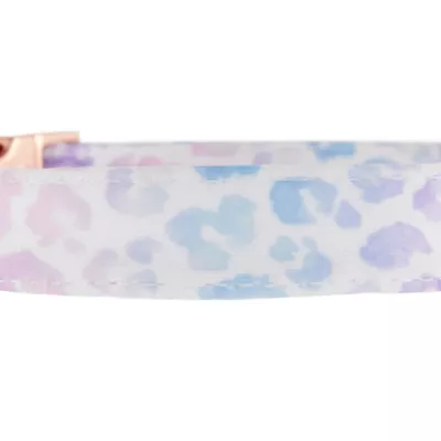 Product Top Paw® Cheetah Comfort Neoprene Dog Collar