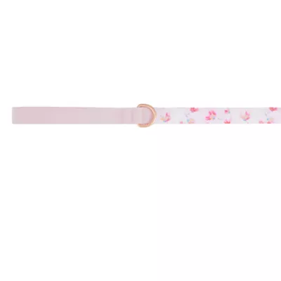 Product Top Paw® Peony Dog Leash: 4-ft long, 1-in wide