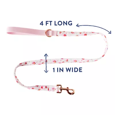 Product Top Paw® Peony Dog Leash: 4-ft long, 1-in wide