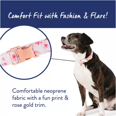 Product Top Paw® Peony Comfort Neoprene Dog Collar