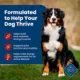 Product Blue Buffalo® Life Protection Formula™ Adult Dry Dog Food - Beef & Brown Rice