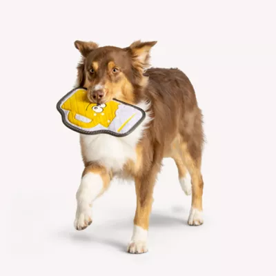 Product Joyhound® Rip Roarin' Tough Beer Dog Toy - Squeaker