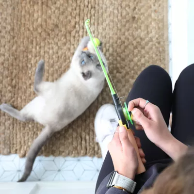 Product Mad Cat® Fishing Pole Frenzy Cat Toy