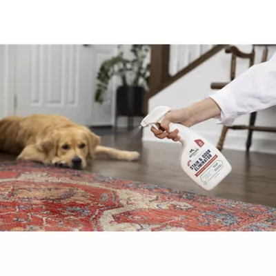 Product Rocco & Roxie Extreme Stain & Odor Eliminator
