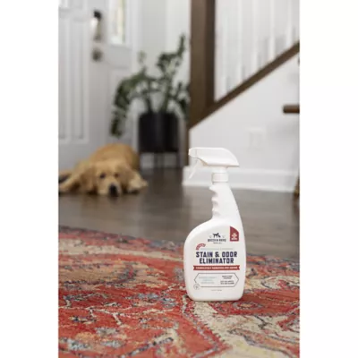 Product Rocco & Roxie Extreme Stain & Odor Eliminator
