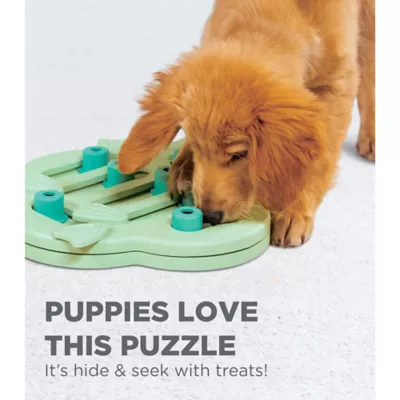 Product Nina Ottosson® Outward Hound® Puppy Hide N' Slide Interactive Treat Puzzle Dog Toy
