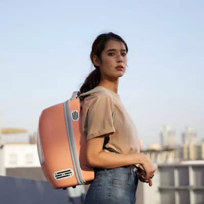 Product Instachew Petpod Pet Carrier with Built In Fan