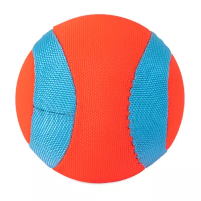 Product Chuckit!® Amphibious Mega Ball Dog Toy