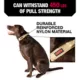 Product KONG® Handle Dog Collar