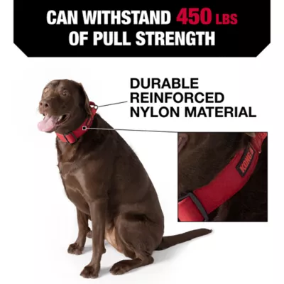 Product KONG® Handle Dog Collar