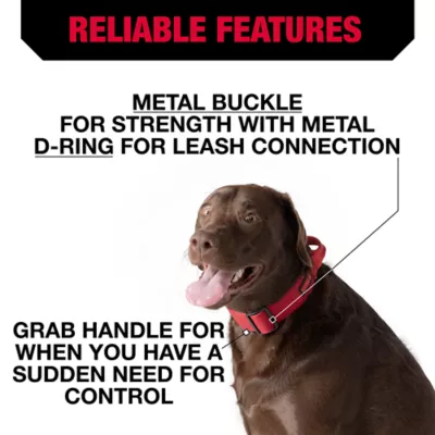 Product KONG® Handle Dog Collar