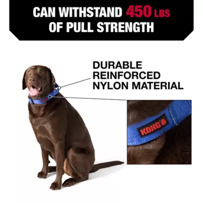 Product KONG® Handle Dog Collar