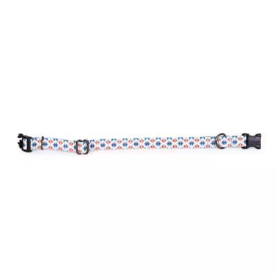 Product Pendleton Falcon Cove Adventure Dog Collar