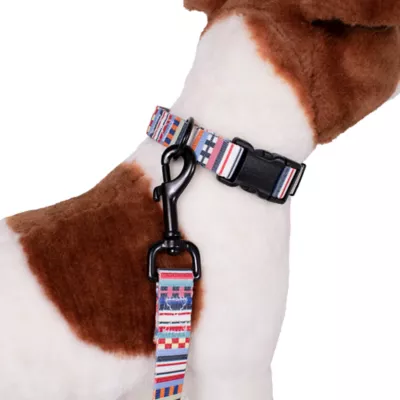 Product Pendleton Tamiami Adventure Dog Collar