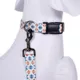 Product Pendleton Falcon Cove Adventure Dog Leash; 6-ft long