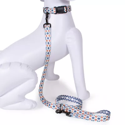 Product Pendleton Falcon Cove Adventure Dog Leash; 6-ft long