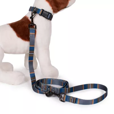 Product Pendleton Olympic National Park Adventure Dog Leash; 6-ft long