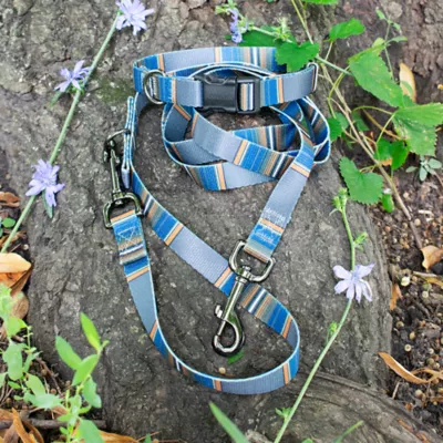 Product Pendleton Olympic National Park Adventure Dog Leash; 6-ft long