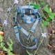 Product Pendleton Olympic National Park Adventure Dog Leash; 6-ft long