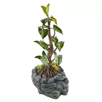 Product Thrive® Tropical Water Dripping Tree