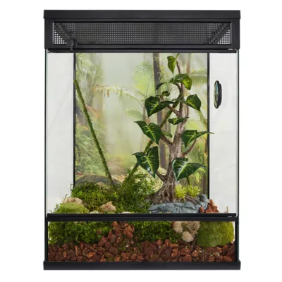 Product Thrive® Tropical Water Dripping Tree