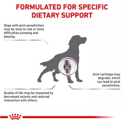 Product Royal Canin® Veterinary Diet Canine Advanced Mobility Support Adult Dry Dog Food