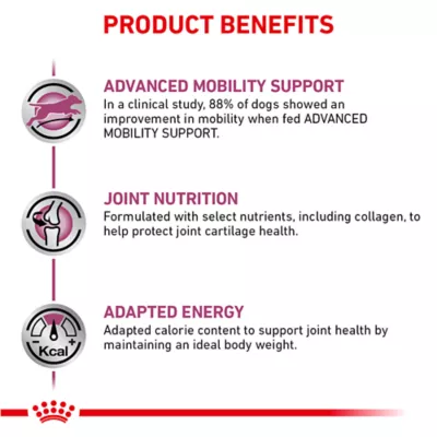 Product Royal Canin® Veterinary Diet Canine Advanced Mobility Support Adult Dry Dog Food