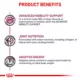 Product Royal Canin® Veterinary Diet Canine Advanced Mobility Support Adult Dry Dog Food