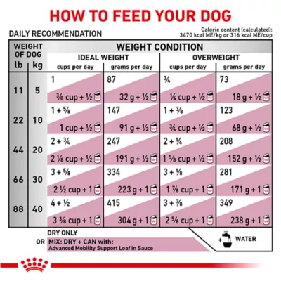 Product Royal Canin® Veterinary Diet Canine Advanced Mobility Support Adult Dry Dog Food