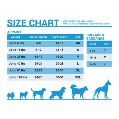 Product Pets First Boston Celtics Reversible Bandana