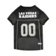 Product Pets First Las Vegas Raiders Mesh Jersey