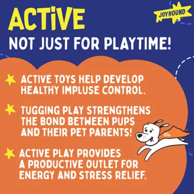 Product Joyhound® Game On Suction Cup Tug Dog Toy