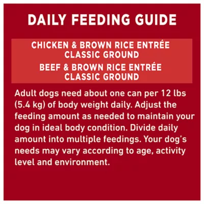Product Purina ONE Classic Wet Dog Food - Ground Assorted Variety Pack, 368 g x 6