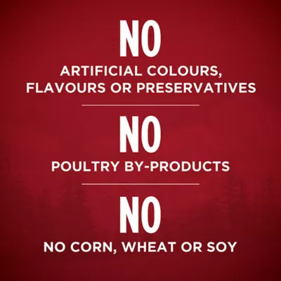 Product Purina ONE True Instinct Classic Wet Dog Food, 368g