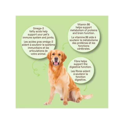 Product Cookie Pal All Life Stages Dog Treats with Pumpkin & Chea - Gluten Free, 300g