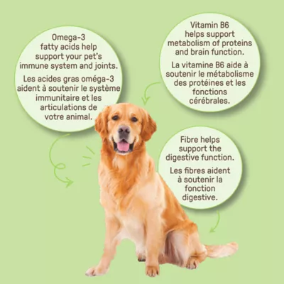 Product Cookie Pal All Life Stages Dog Treats with Pumpkin & Chea - Gluten Free, 300g