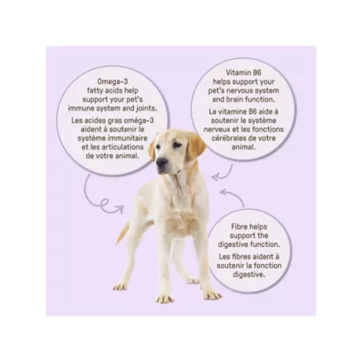 Product Cookie Pal All Life Stages Dog Treats Sweet Potato & Falxseed - Gluten Free, 300g