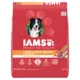 Product Iams Proactive Health Minichunks Adult Dry Dog Food with Real Lamb & Ricece